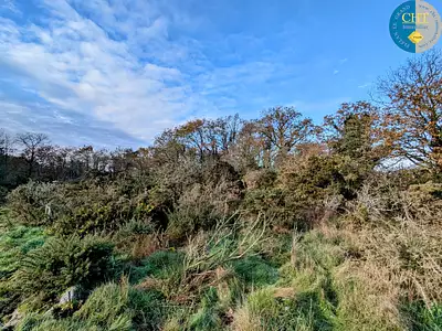 Terrain, 1 716 m²