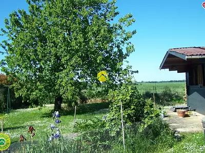 Maison, 78 m²