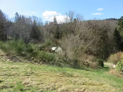 Maison, 306 m²