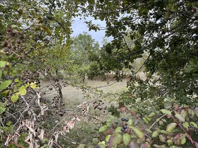 Terrain, 7 730 m²