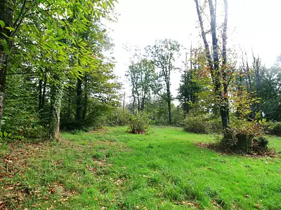 Terrain, 3 200 m²