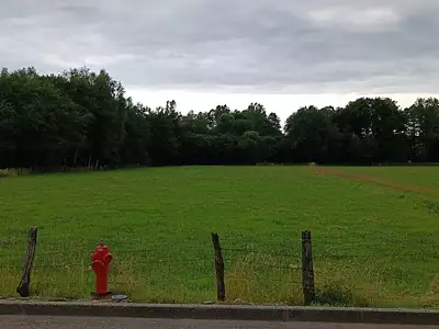Terrain, 6 704 m²