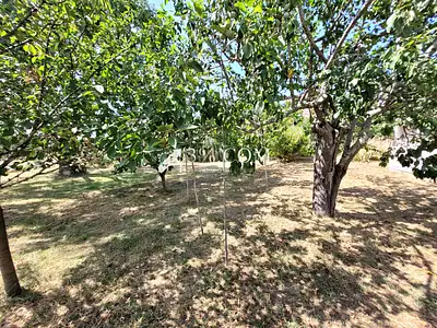 Maison, 98 m²