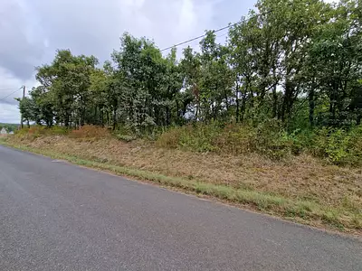 Terrain, 1 157 m²