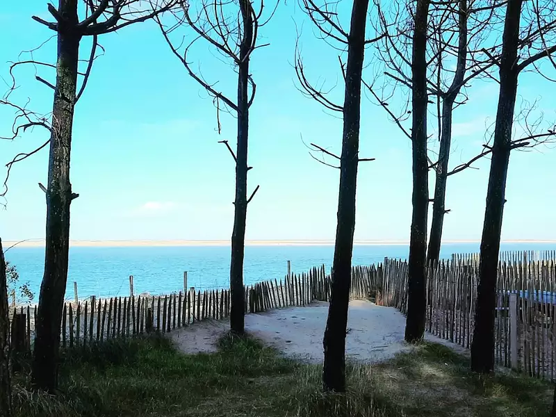 Terrain à bâtir, 1 300 m²