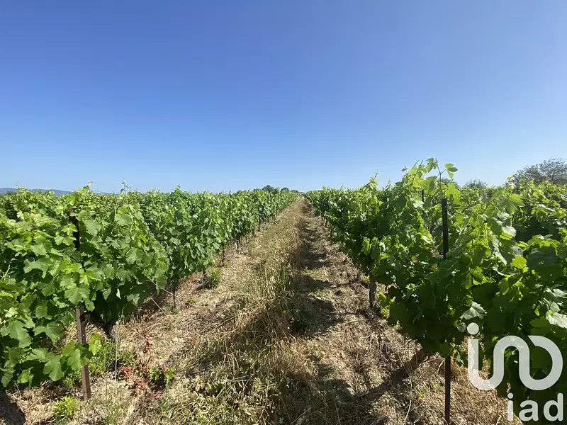 Terrain, 216 211 m²