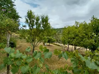 Maison, 139 m²