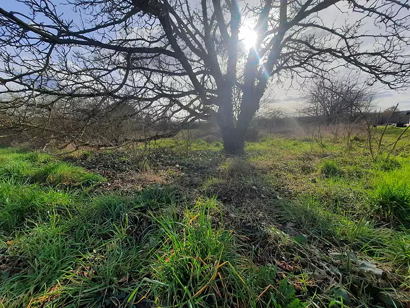 Terrain, 2 649 m²