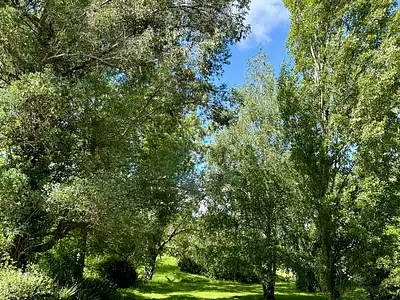 Maison, 230 m²