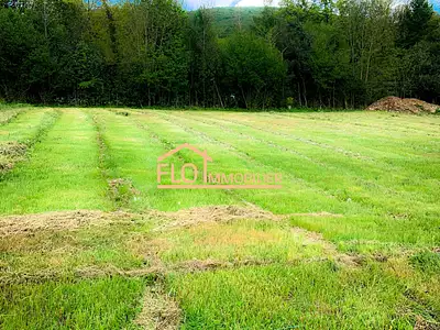 Terrain, 977 m²