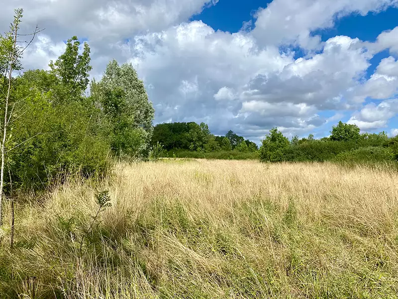 Terrain, 31 937 m²