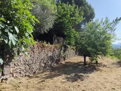 Terrain, 2 050 m²