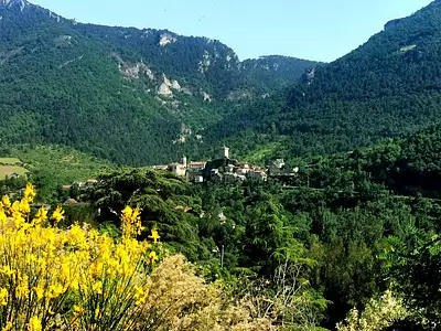 Terrain, 1 019 m²