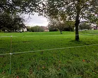 Terrain, 1 365 m²