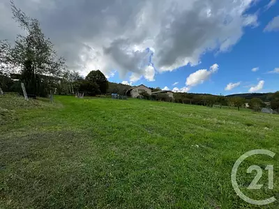 Terrain