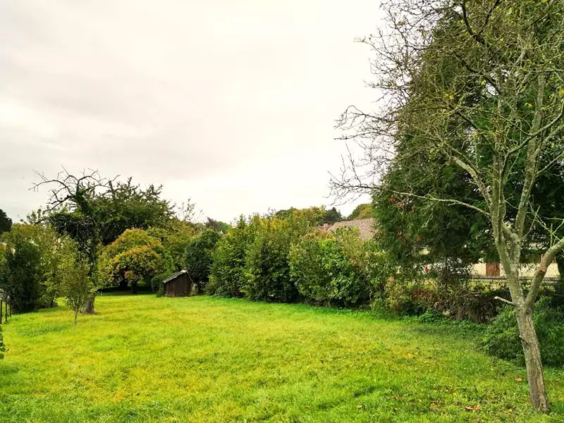 Terrain, 1 343 m²