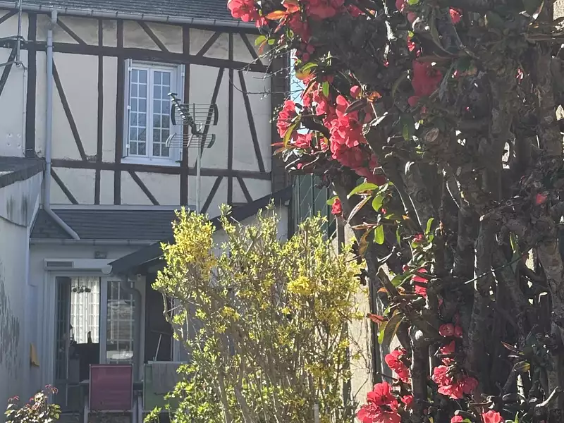Maison, 66,4 m²
