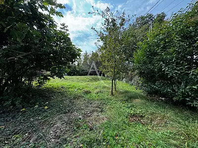 Terrain, 906 m²