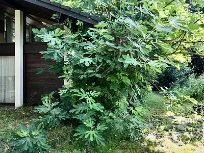 Maison, 156 m²