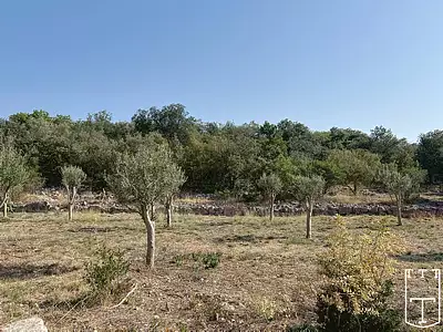 Terrain, 1 722 m²
