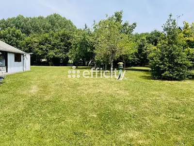 Terrain, 1 560 m²