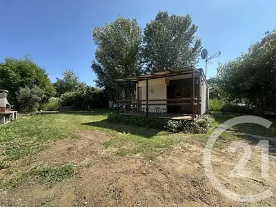 Terrain