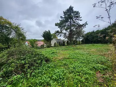 Terrain