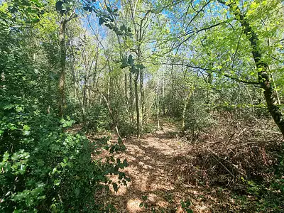 Terrain, 3 637 m²