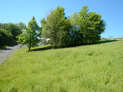 Terrain, 2 113 m²