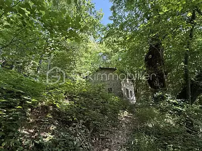 Terrain, 18 325 m²