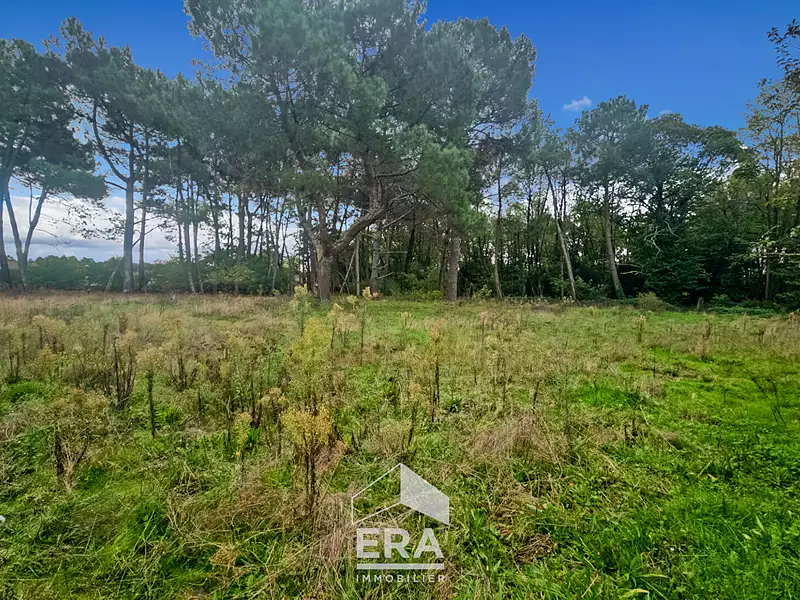 Terrain, 622 m²