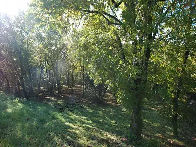 Terrain, 4 745 m²