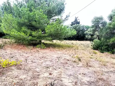 Terrain, 1 350 m²