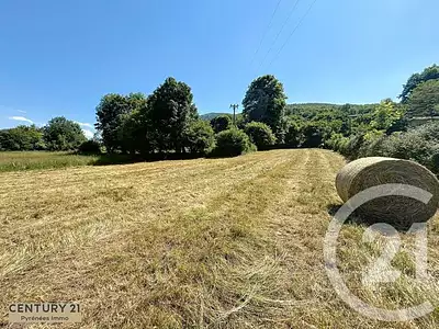 Terrain