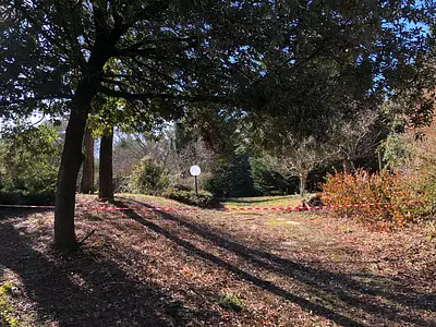 Terrain, 560 m²
