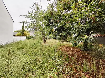 Terrain, 426 m²