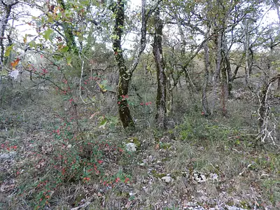 Terrain, 891 m²