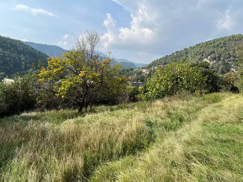 Terrain, 1 143 m²