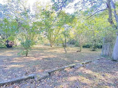 Maison, 203 m²
