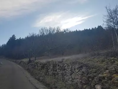 Terrain, 19 793 m²
