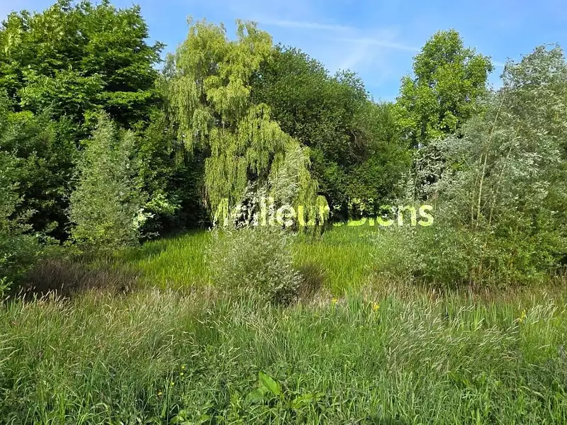 Maison, 275 m²