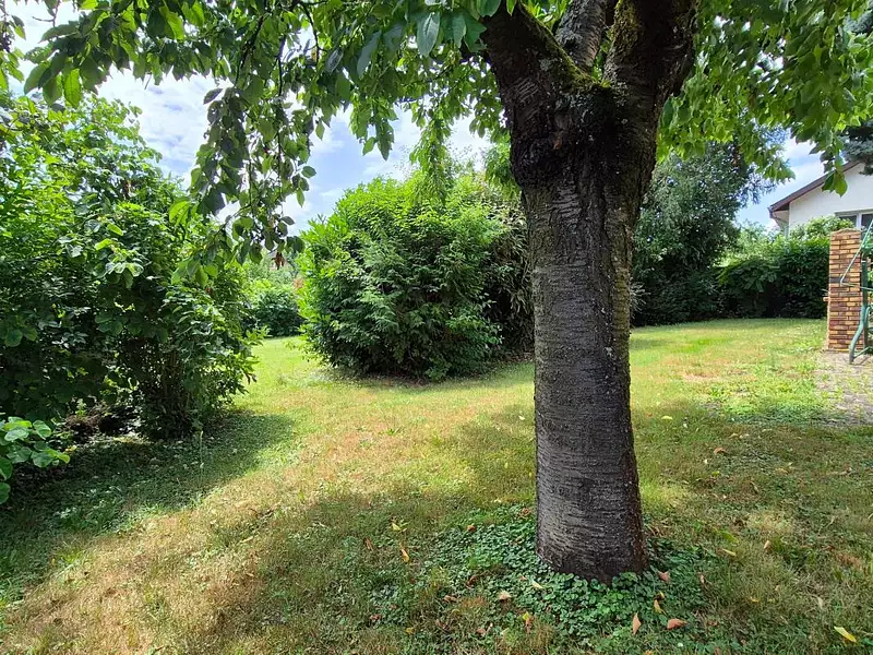 Maison, 118 m²