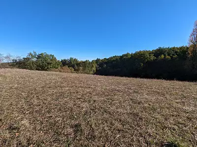 Terrain, 10 444 m²