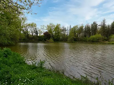 Terrain, 96 738 m²