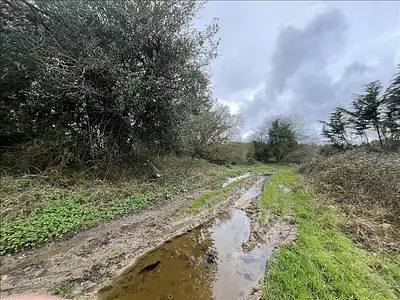 Terrain, 1 024 m²