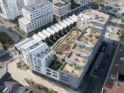 L’OASIS