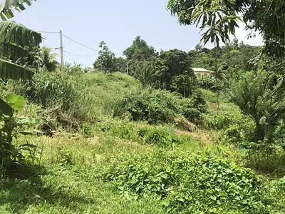 Terrain, 709 m²