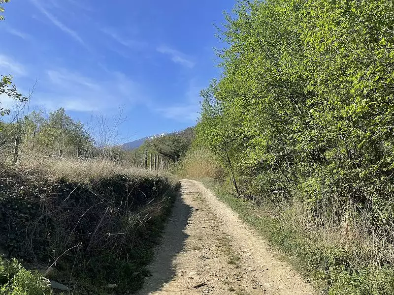 Terrain, 25 400 m²