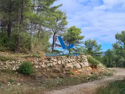 Terrain, 30 000 m²