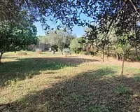 Terrain, 560 m²